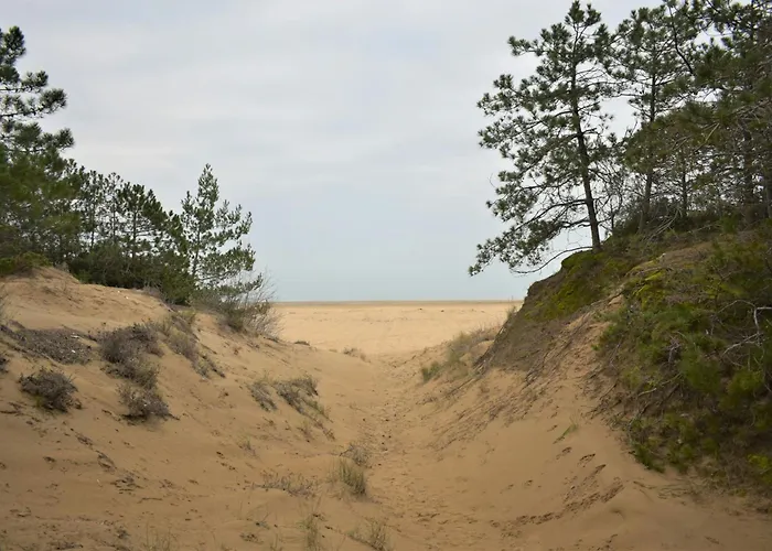 Duplex For 7 Guests In An Oasis Of Greenery In Lignano Riviera * Линьяно-Саббьядоро