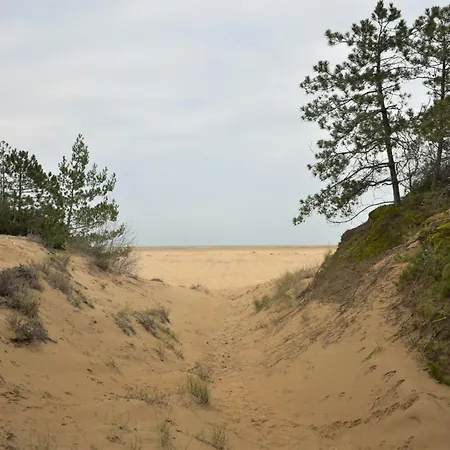 Duplex For 7 Guests In An Oasis Of Greenery In Lignano Riviera * Lignano Sabbiadoro